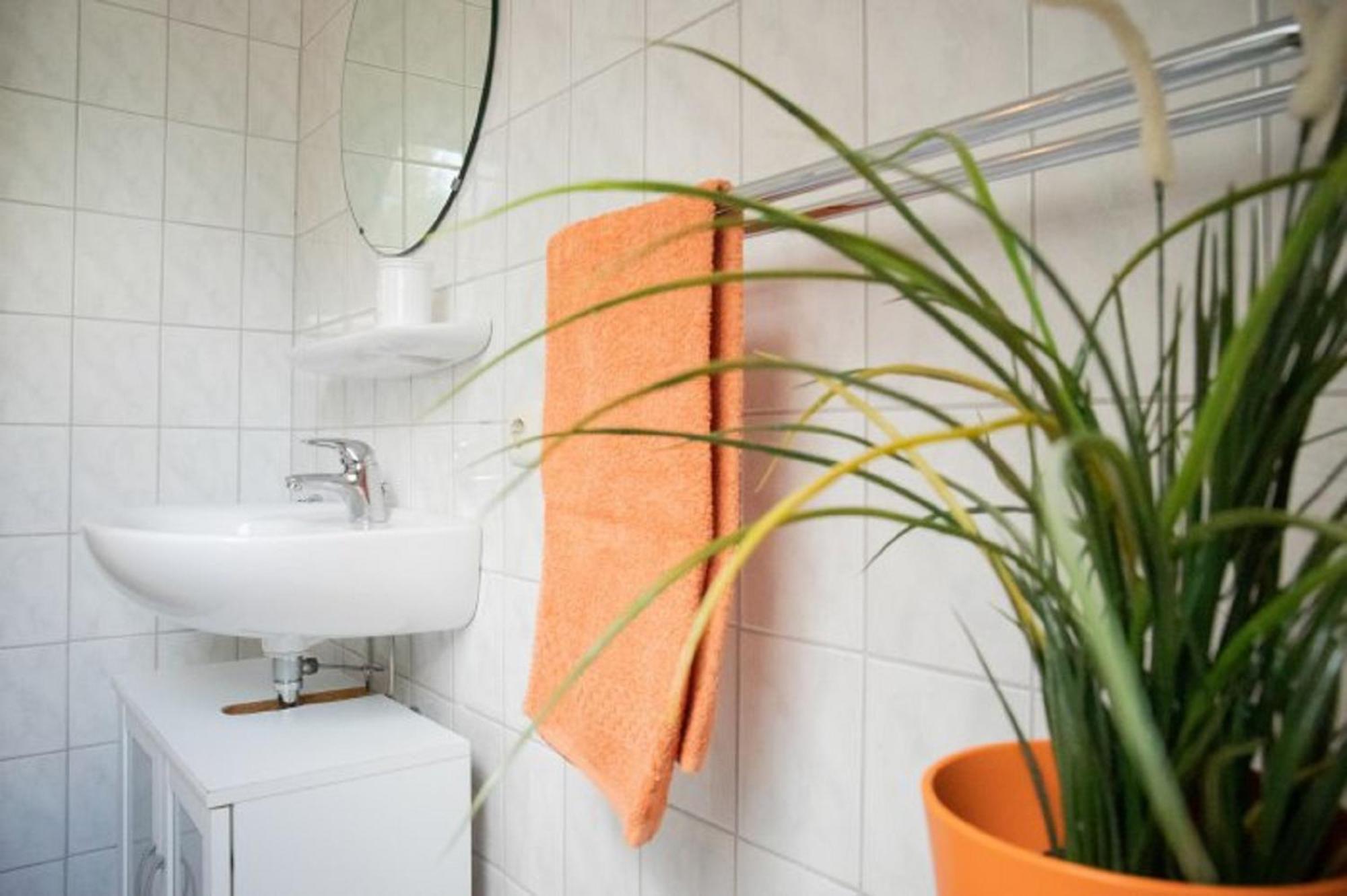 Apartmán Reiterhof Ekenhoff Moorweg Exteriér fotografie